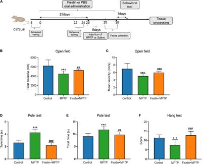 Fisetin Regulates Gut Microbiota and Exerts Neuroprotective Effect on Mouse Model of Parkinson’s Disease